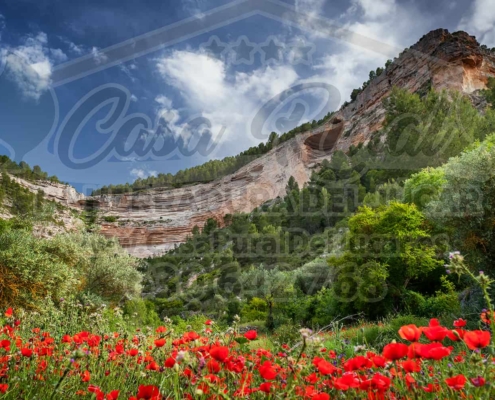 Proximidades de Alcalá del Júcar