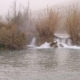 Mañana de Pesca en Alcozarejos