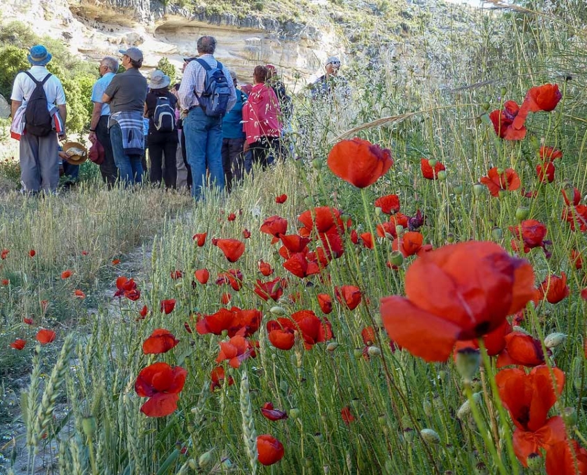 Senderistas avistando aves cerca de Casa Rural La Herradura del Río Júcar (Cañahorro)