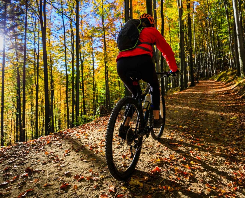 BTT en Albacete