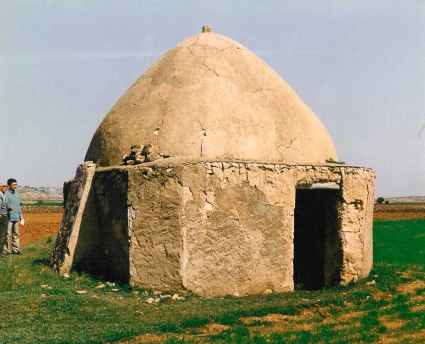 Cuco en Casas Ibáñez