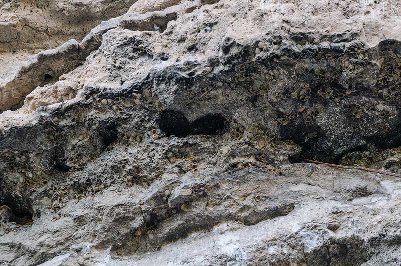 Nides de Vencejos Reales sobre la casa rural Nides de Vencejos Reales sobre la casa rural